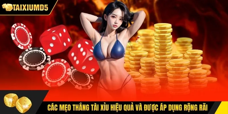 Các mẹo thắng tài xỉu hiệu quả và được áp dụng rộng rãi