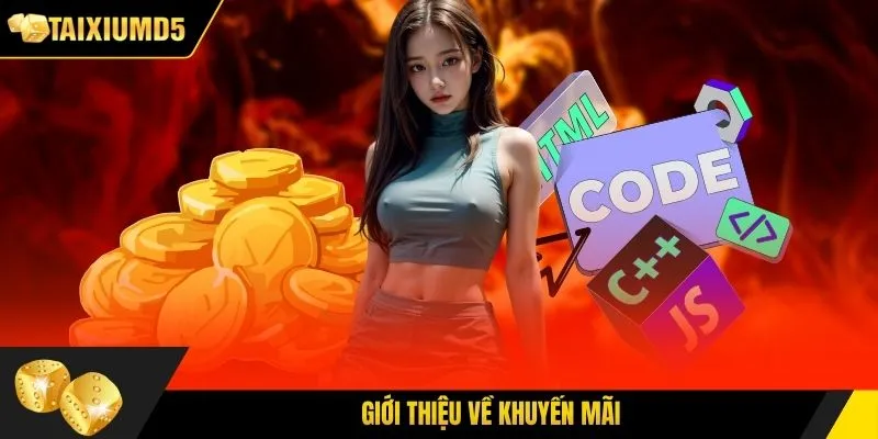 Giới thiệu về khuyến mãi