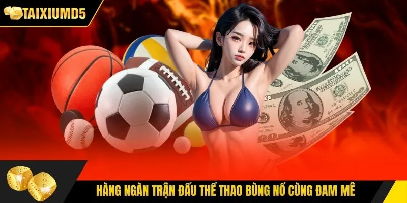 Hàng ngàn trận đấu thể thao bùng nổ cùng đam mê
